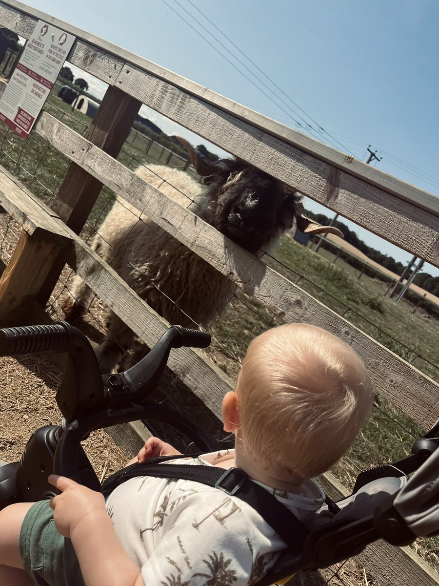 Danny Cook tweet media