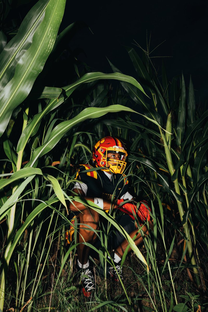 Elliot Lynne tweet media