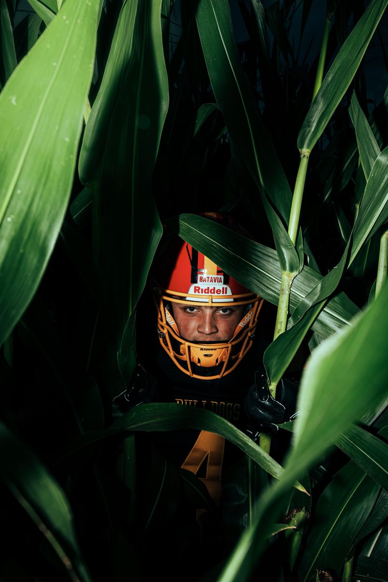 Elliot Lynne tweet media