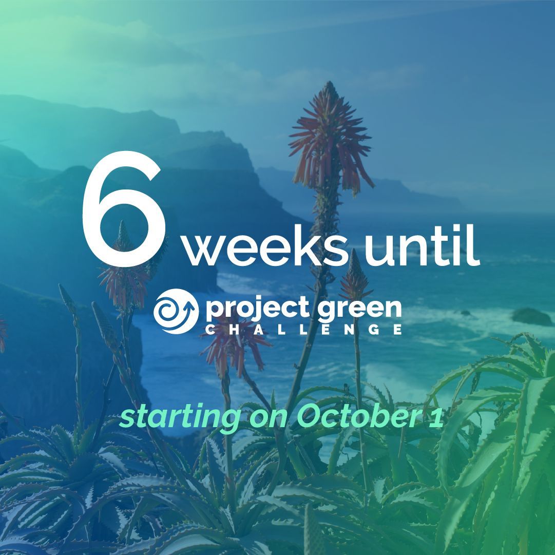TurningGreenOrg's tweet image. 30 Days. 1 Planet. Infinite Impact.
This October, join students everywhere for Project Green Challenge — a global movement to take action for a healthier, more sustainable world.

Sign up now at projectgreenchallenge.com
#ProjectGreenChallenge #PGC2025 #ClimateAction