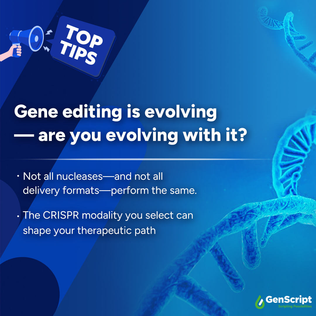 GenScript's tweet image. ⚖️ Are you ready to make the right choice?
🔹 Find the nuclease that fits your editing goals → bit.ly/45BeL3i
🔹 Still deciding? See how the right mRNA format can accelerate research & success → bit.ly/45wE1rg
#GenScript #GeneEditing #mRNA #CRISPR