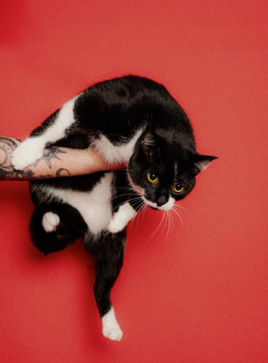 My tiny little man is 5 years old today !!! Everyone say happy birthday Markus! Thank you for being such a wonderful friend for all these years, I love you so much