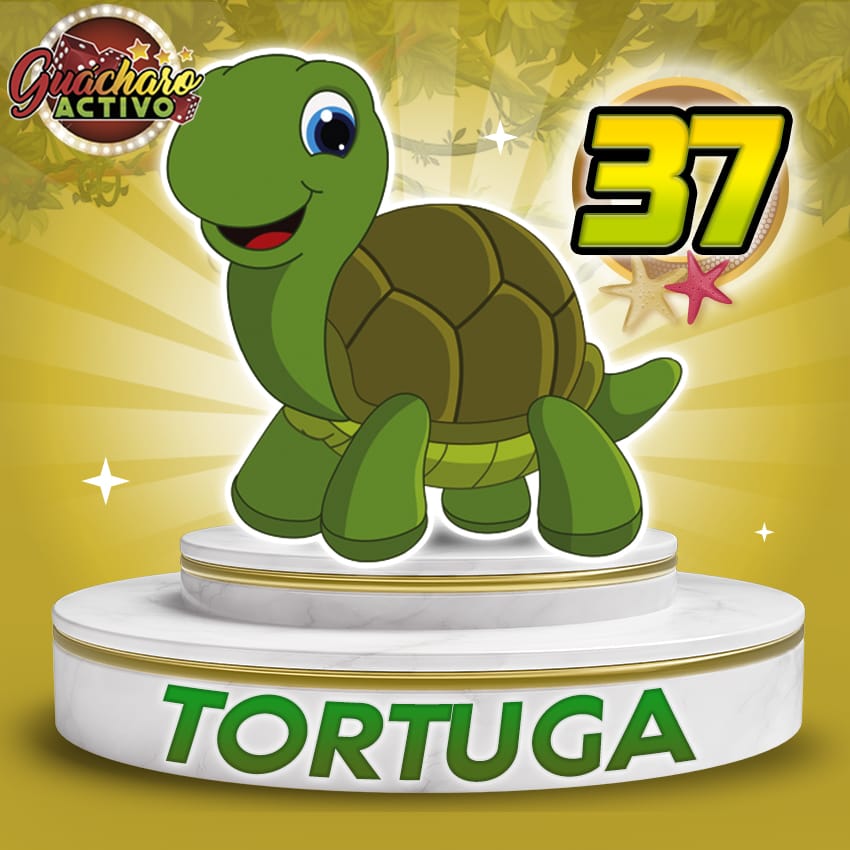 ¡El animalito millonario ya está aquí! 🐾✨

📅 Hoy es: Viernes, 15 Ago 2025
⏰ Hora del sorteo: 09:00 AM
🥇 El animalito ganador: 37 Tortuga

🎉 ¡Día de suerte con Guácharo Activo! ¿Adivinaste el número ganador? 🤑