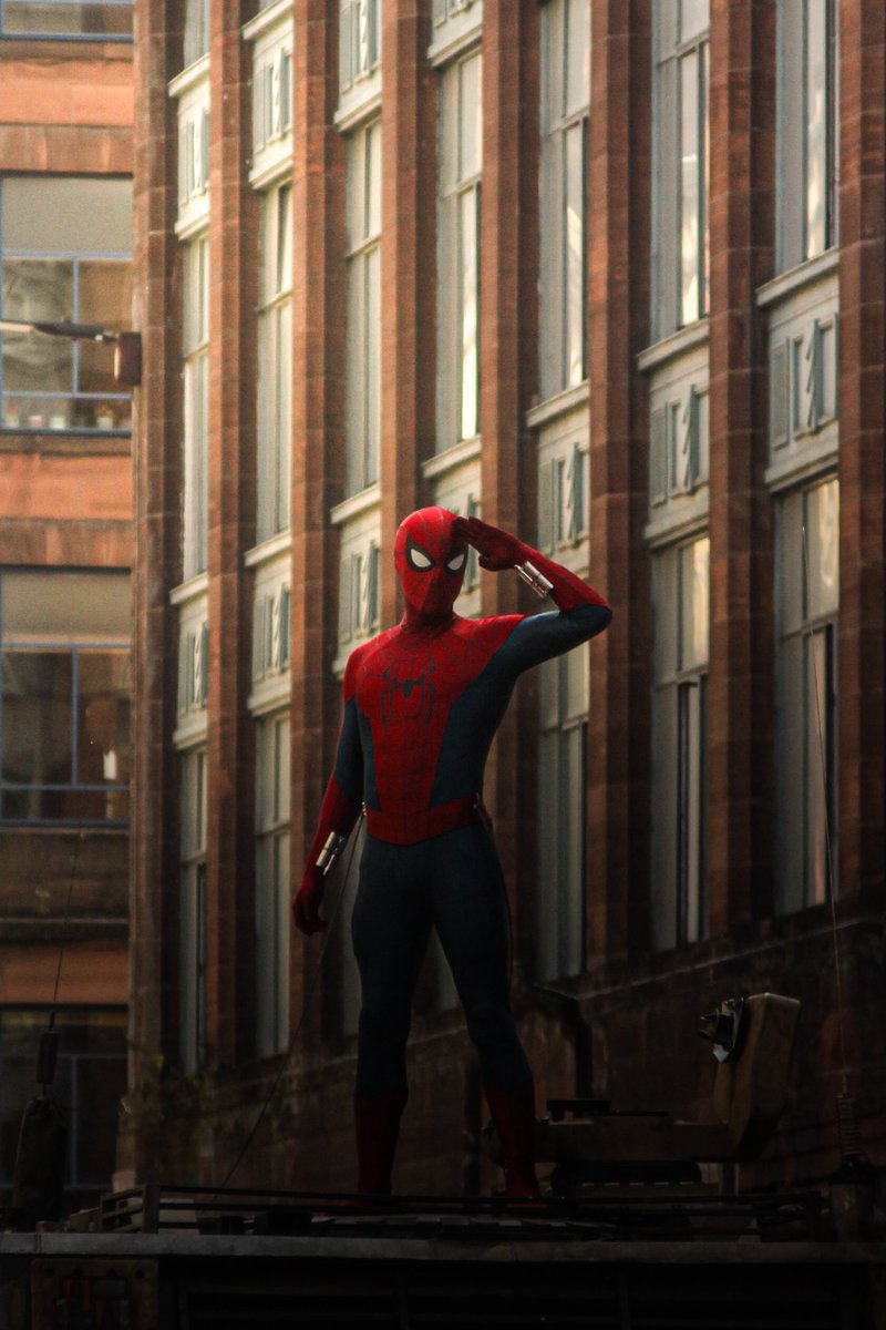SpiderManBRA's tweet photo. Cara… https://t.co/hx6iDrVNK7