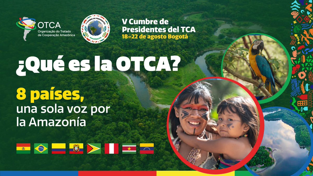La Amazonía es compartida por 8 países. Para defenderla con una sola voz existe la OTCA: cooperación técnica y política más allá de fronteras.

Integra a Bolivia, Brasil, Colombia, Ecuador, Guyana, Perú, Surinam y Venezuela con un mandato común: conservar la Amazonía y mejorar la