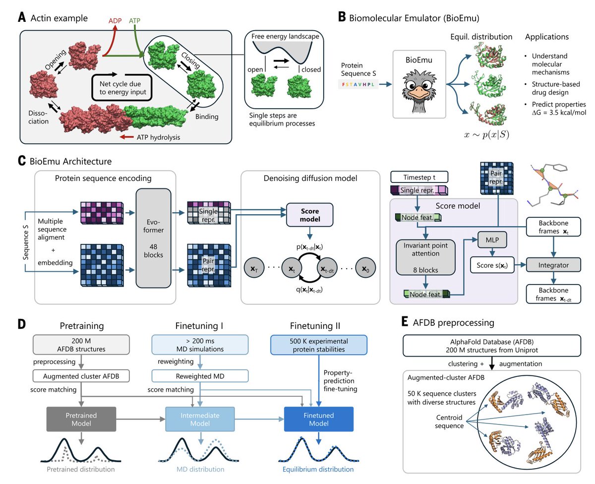 BiologyAIDaily's tweet image. Scalable Emulation of Protein Equilibrium Ensembles with Generative Deep Learning @ScienceMagazine 
1. A groundbreaking study introduces BioEmu, a deep learning system that can rapidly generate protein structure ensembles, capturing dynamic conformational changes and predicting…