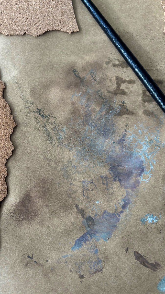 on est d’accord vous voyez le poisson?? (svp dites oui j’ai montré à mes darons ils ont dit NON🤨🤨)