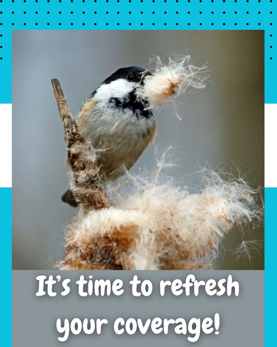 🏡 Protect your little nest with an affordable policy. (336) 599-1751