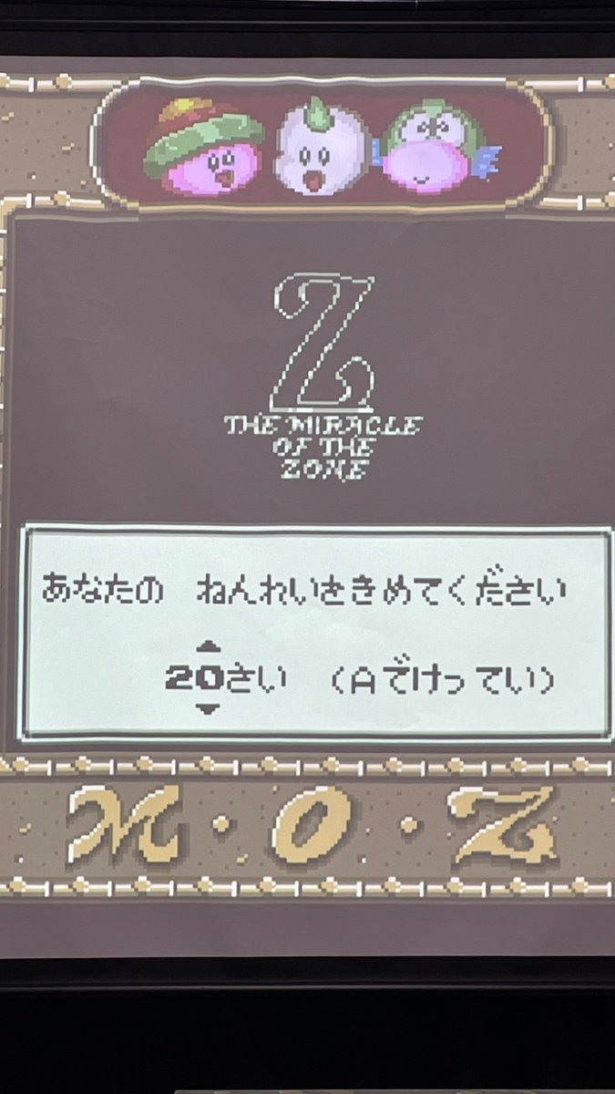 ミラクルオブザゾーン　恐怖のカード回収屋 ミラクルオブザゾーン 恐怖のカード回収屋 MOZ 恐怖のカード回収