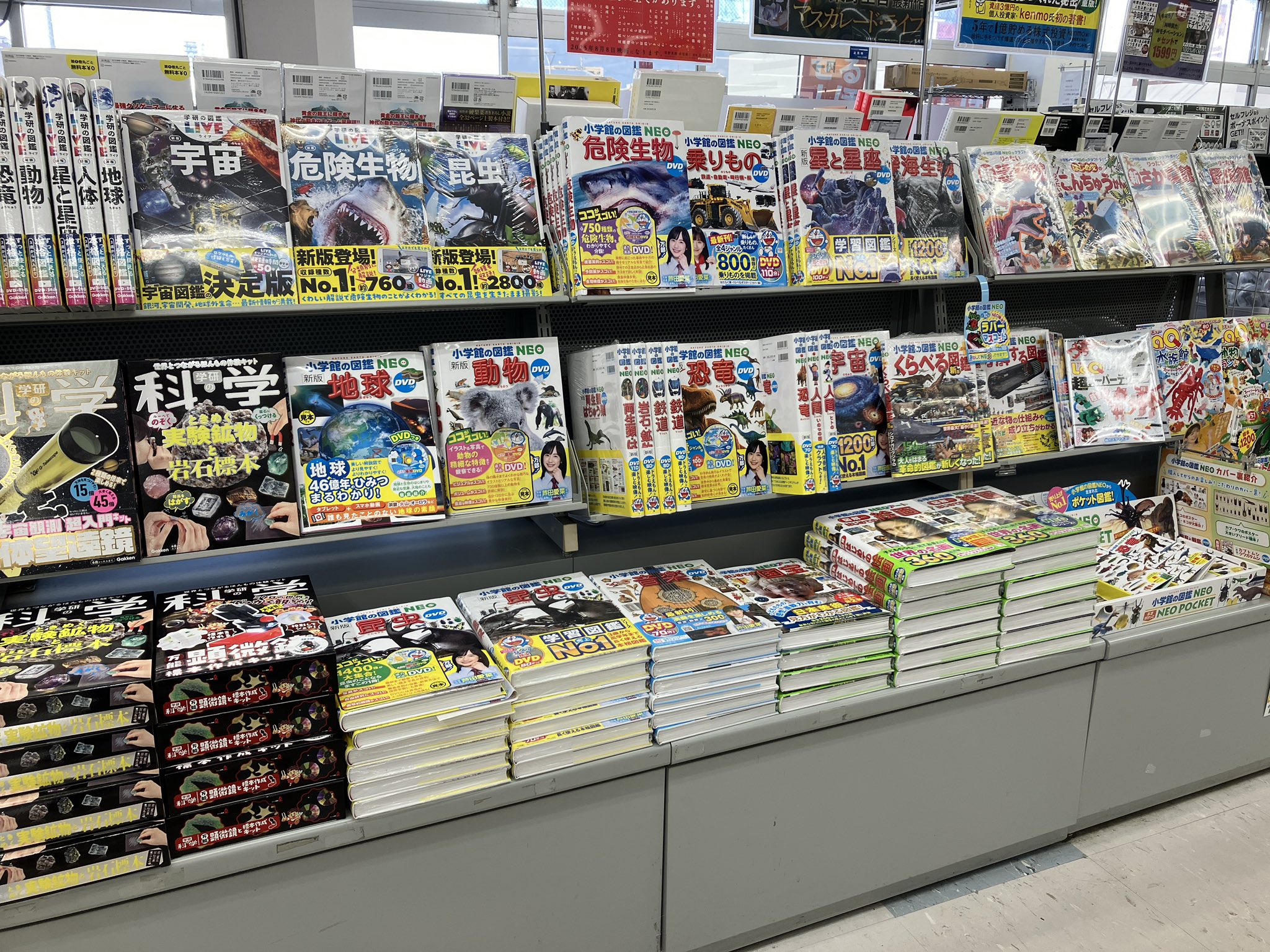 【週末限定お値下げ】小学館の図鑑NEO ネオ プレNEOなど　13冊学習絵本 小学館の「図鑑NEO」デラックス25冊セット｜絵本のギフト通販