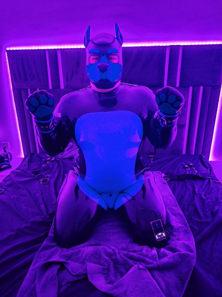 Here is <a href="/RubberPupArrow/">Pup Arrow</a> 

My Helix is so motivated and horny because he has been locked for 12 days now also a chastity challenge

✍🏻 30 min 
❤️ 1 H
🔄 6 H

New Follower + 12 hours (currently 1284)

End 16.08. - 11:59 P.M CEST

Daily Checks + Chat: 
t.me/pupscorner