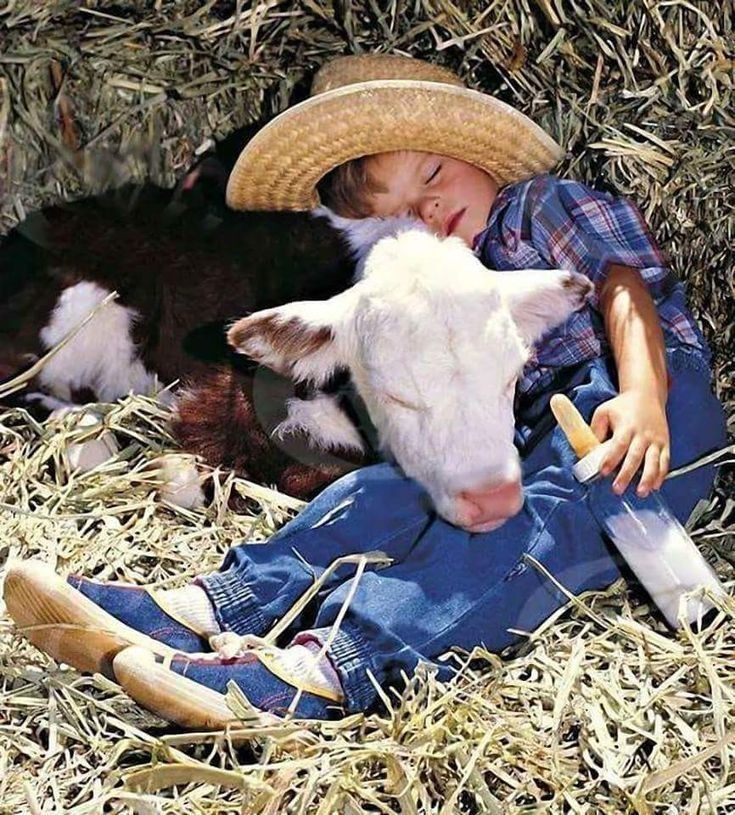 hîv. (@sorrrowfull) on Twitter photo 