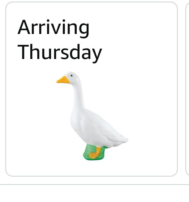 Mrs. L (@iteachfirsties1) on Twitter photo Ahhhhhh! Ordered thanks to <a href="/dumbledorable19/">SolidWAlani🫶</a> and I can’t wait for our goose to arrive! So very grateful for you! THANK YOU!!! Ahhhhhh! Ordered thanks to <a href="/dumbledorable19/">SolidWAlani🫶</a> and I can’t wait for our goose to arrive! So very grateful for you! THANK YOU!!!