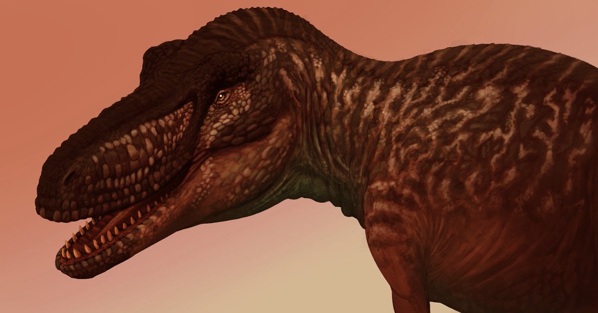 Cant finish this piece for a hot minute since i left my equipment behind when I went to college, so heres the current progress for a while!

#paleo #paleoart #tyrannosaurus #tyrannosaur #prehistoric