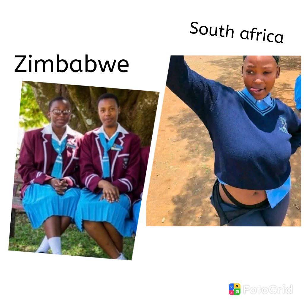 Why are Zimbabweans more educated than South Africans.