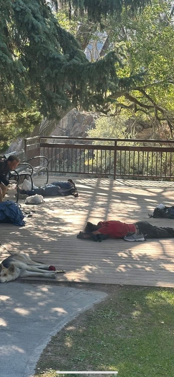 Cyndee (@cyndeeluv56) on Twitter photo This isnโt Portland or Seattle. This is downtown Idaho Falls. <a href="/CasperForMayor/">Mayor Rebecca Casper</a> is no different than any liberal who allows drug dealers, child predators and criminals to overdose and pass out at our Greenbelt. <a href="/Barbara_Ehardt/">Barbara Ehardt</a> can you please help? This isnโt Portland or Seattle. This is downtown Idaho Falls. <a href="/CasperForMayor/">Mayor Rebecca Casper</a> is no different than any liberal who allows drug dealers, child predators and criminals to overdose and pass out at our Greenbelt. <a href="/Barbara_Ehardt/">Barbara Ehardt</a> can you please help?