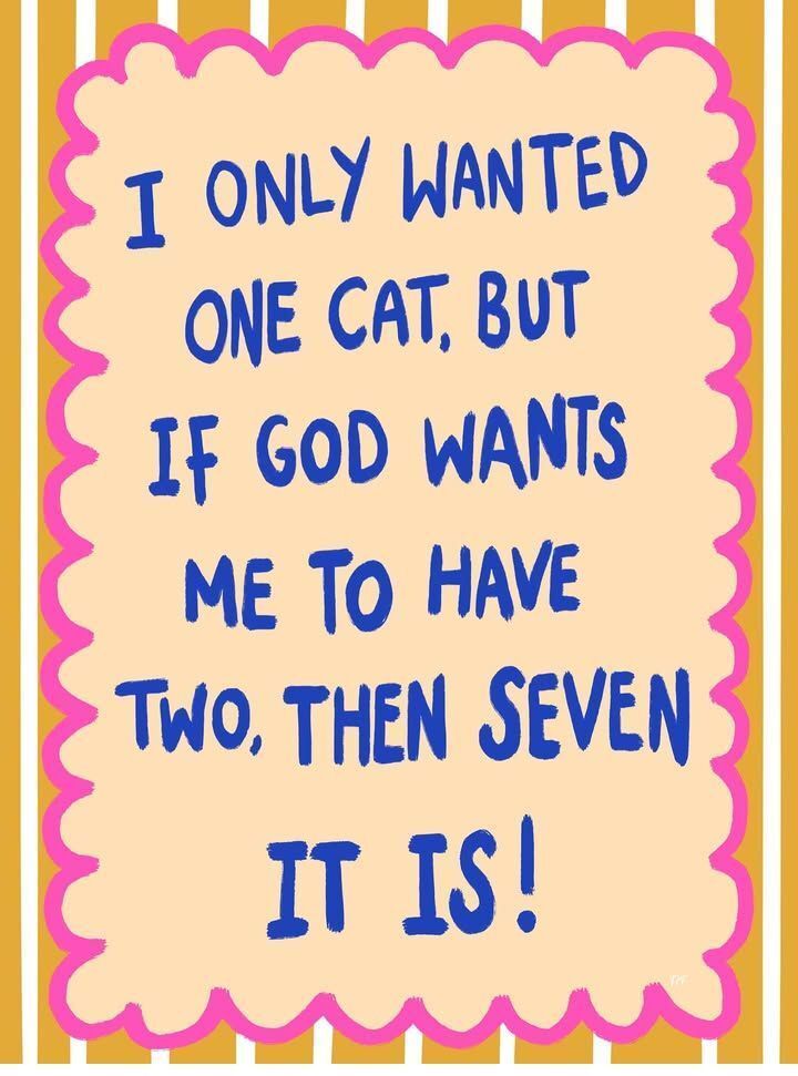 catsnkittys's tweet image. 