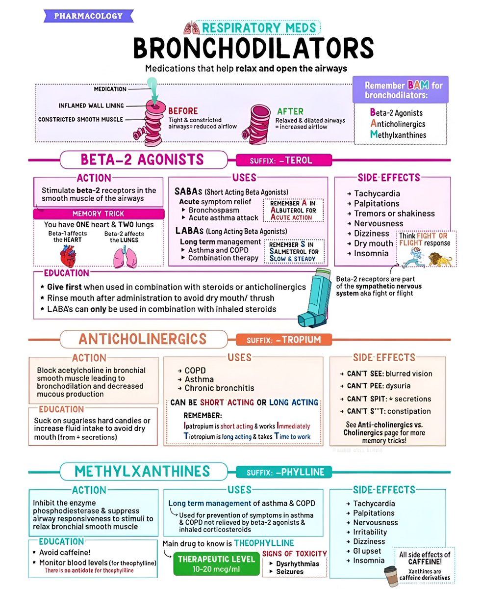 Doc Kamal 🫁 tweet media