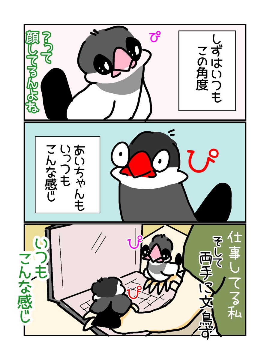 平和な毎日🐥😆✨