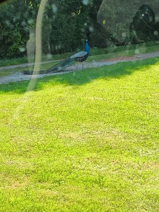 #Pamiętajcie, że:

Nikt na świecie nie żyje wyłącznie dla siebie. 
         Jesteśmy tu także dla innych.

Ciepła, życzliwości i powodów do radości na cały długi weekend życzę.