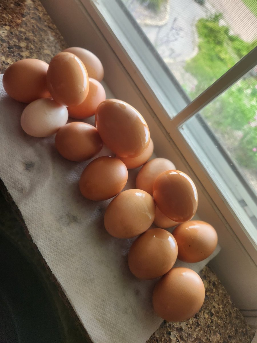 GP_HTR's tweet image. #farmfresh
#farmraised