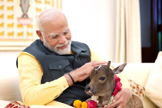 dogitization's tweet photo. @narendramodi जी 
आप अगर दीपज्योति को पाले तो आप “गाय lover” नहीं बल्कि “दयालु” कहलाते है और हम अगर सड़क पर किसी भारतीय श्वान को खाना खिलाते है तो हमे सभी लोग “Dog Lovers” की उपाधि दे देते है!
अब तो हमे “Dog Lover” शब्द ऐसा लगने लगा है मानो की कोई ताना मार रहा हो!
#SaveIndianDogs https://t.co/NaApyH3Wh5