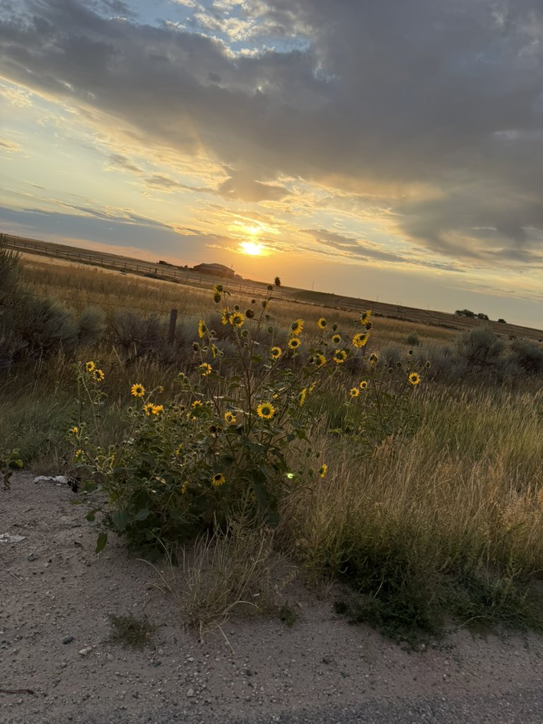 BigStateOfMind.eth tweet media