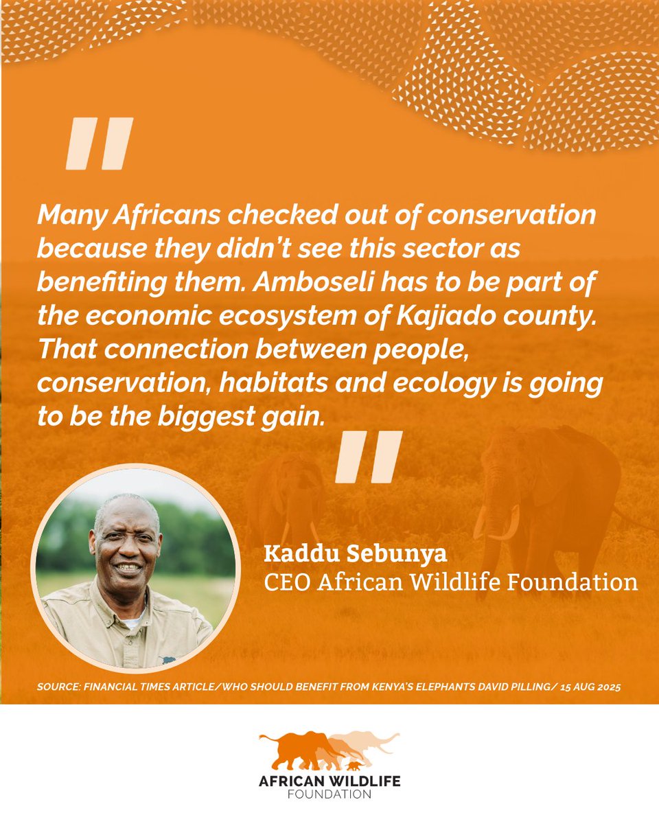Today’s <a href="/FinancialTimes/">Financial Times</a> Big Read, featuring insights from <a href="/AWFCEO/">Kaddu Sebunya</a>'s interview with <a href="/davidpilling/">david pilling</a>, explores the transformative moment unfolding in Amboseli National Park. The park’s transition to local management is more than a policy shift, it’s an opportunity to reimagine how