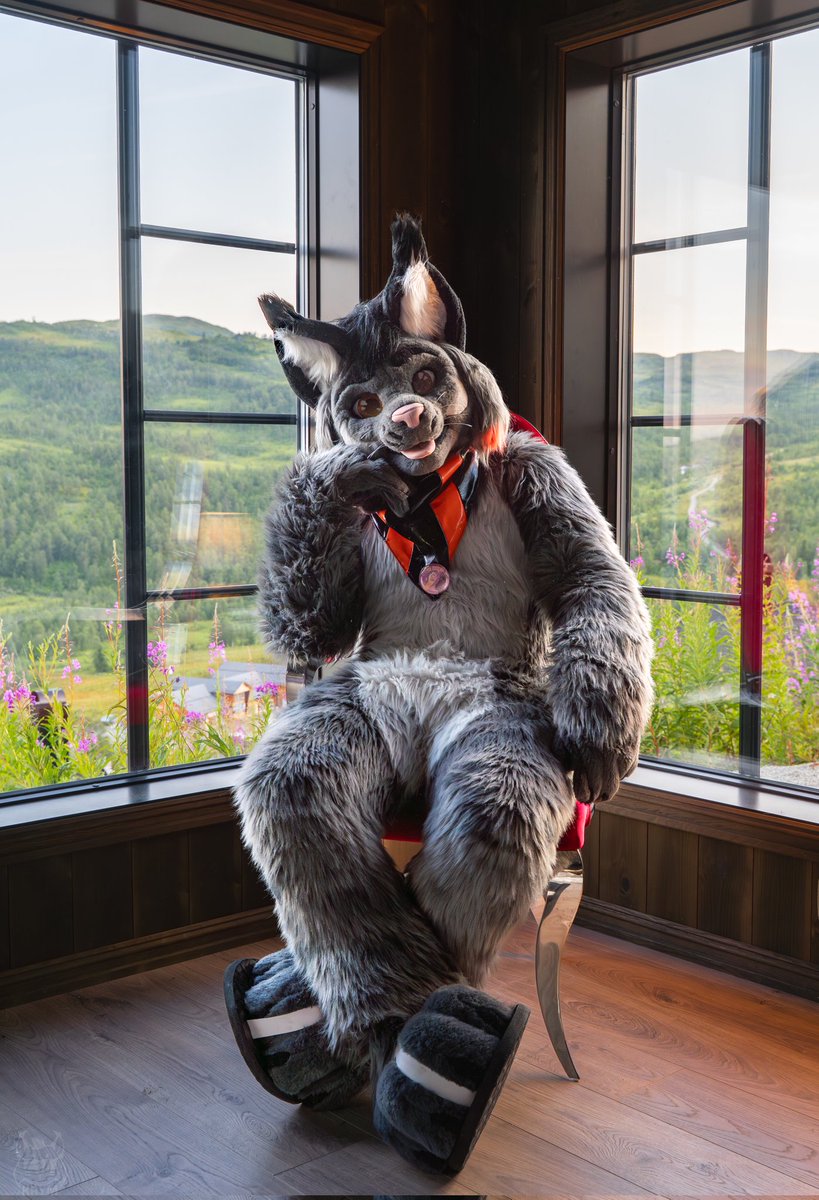 Krym🐾 /🟦 : tuftslink.fr (@krymson_k) on Twitter photo Sorry... The big cat got the only one fancy seat left here!
But I'm sure you will find a way to get my place, don't you ?👀✨
📷 : <a href="/ScyllaWolfron/">Scylla 🐺🐉 🔜 Megaplex, EF</a> + edit by me
#FursuitFriday Sorry... The big cat got the only one fancy seat left here!
But I'm sure you will find a way to get my place, don't you ?👀✨
📷 : <a href="/ScyllaWolfron/">Scylla 🐺🐉 🔜 Megaplex, EF</a> + edit by me
#FursuitFriday