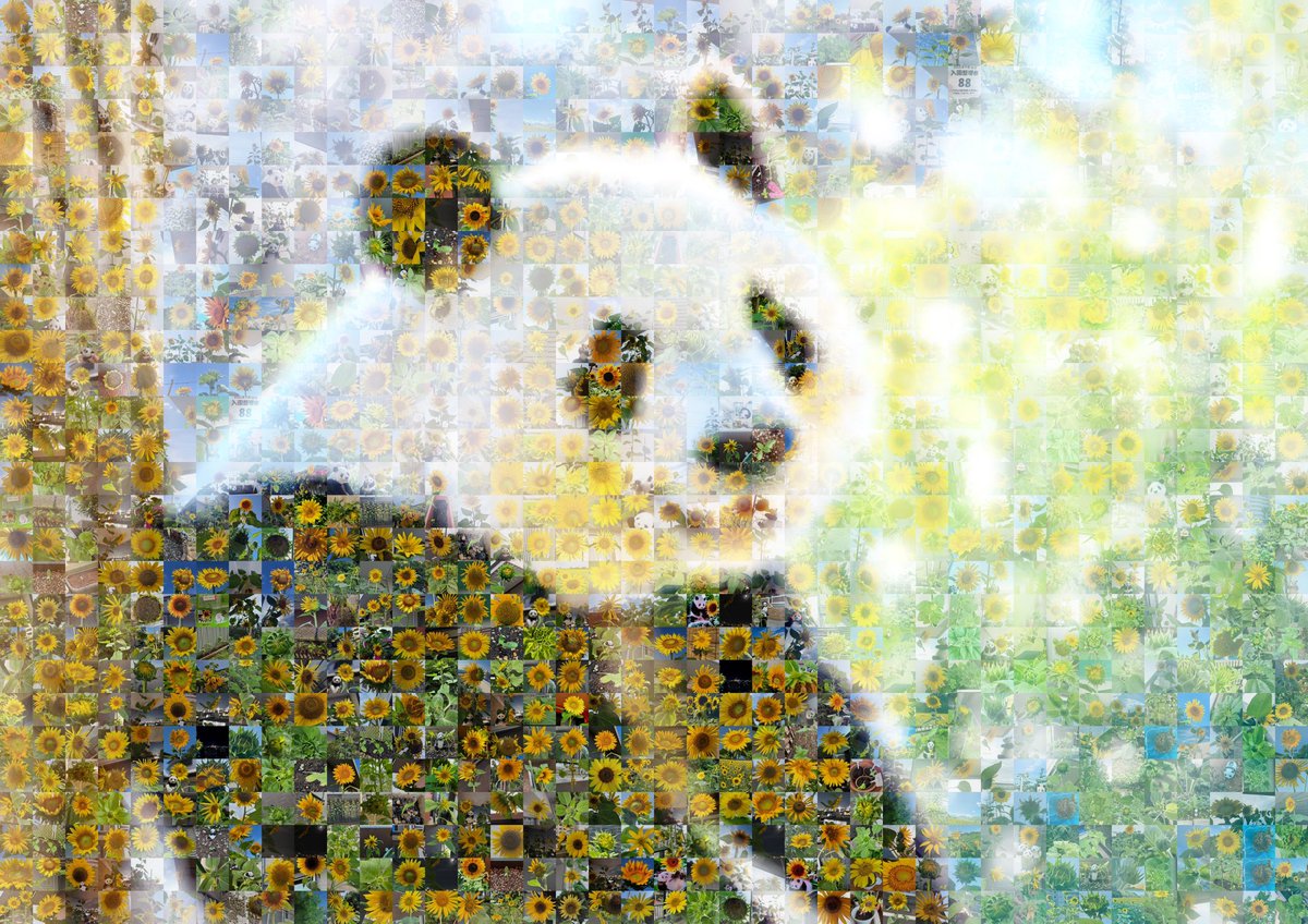 みみこ (@opan335) / Posts / X