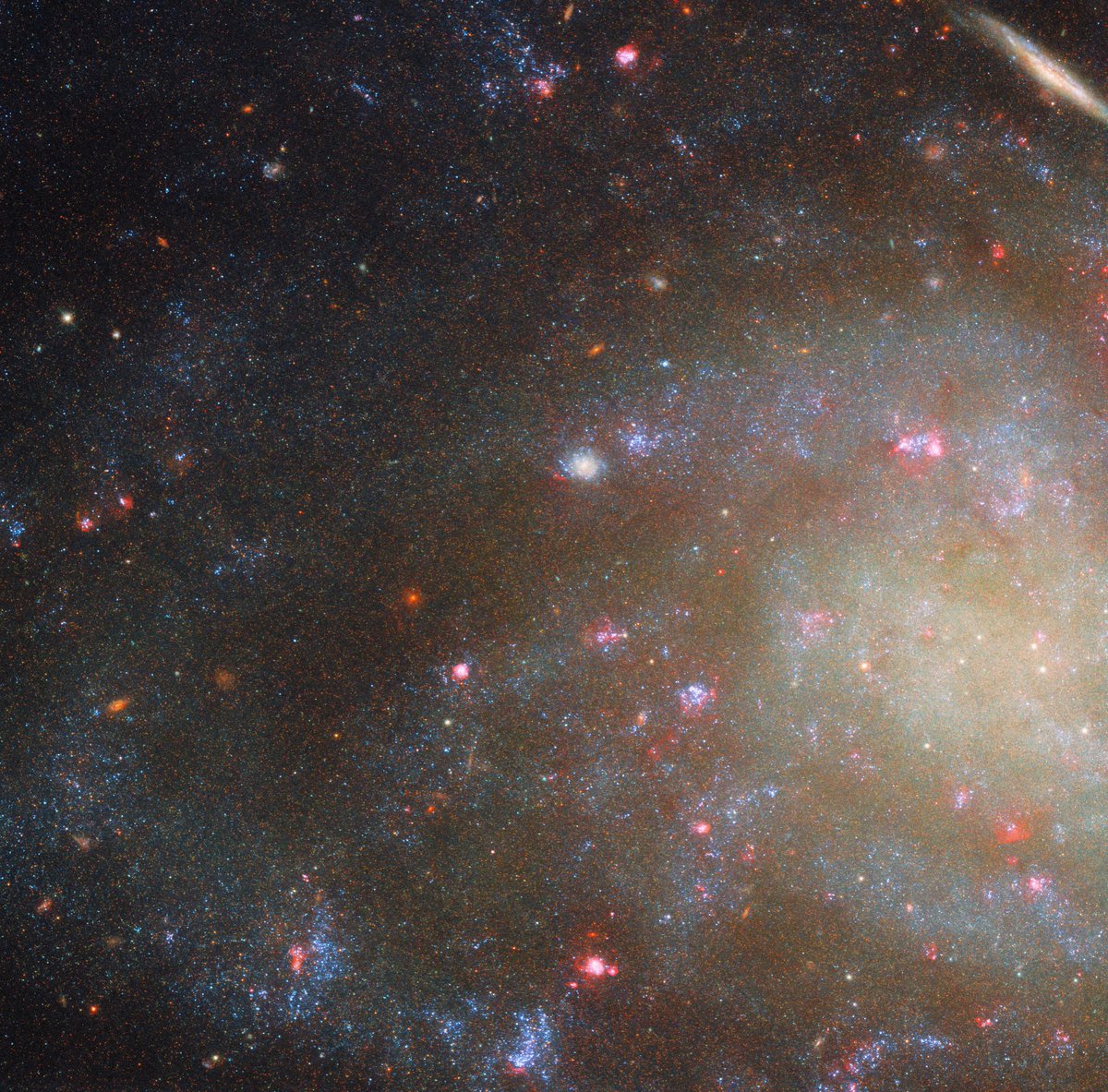 NASAHubble's tweet image. Low brightness, high interest 💡

Hubble examined NGC 45, seen in this new #HubbleFriday view. It&apos;s classified as a low surface brightness galaxy – a type of galaxy fainter than the night sky itself.

Thankfully, Hubble&apos;s sensitivity is up to the task: go.nasa.gov/4mKw60z