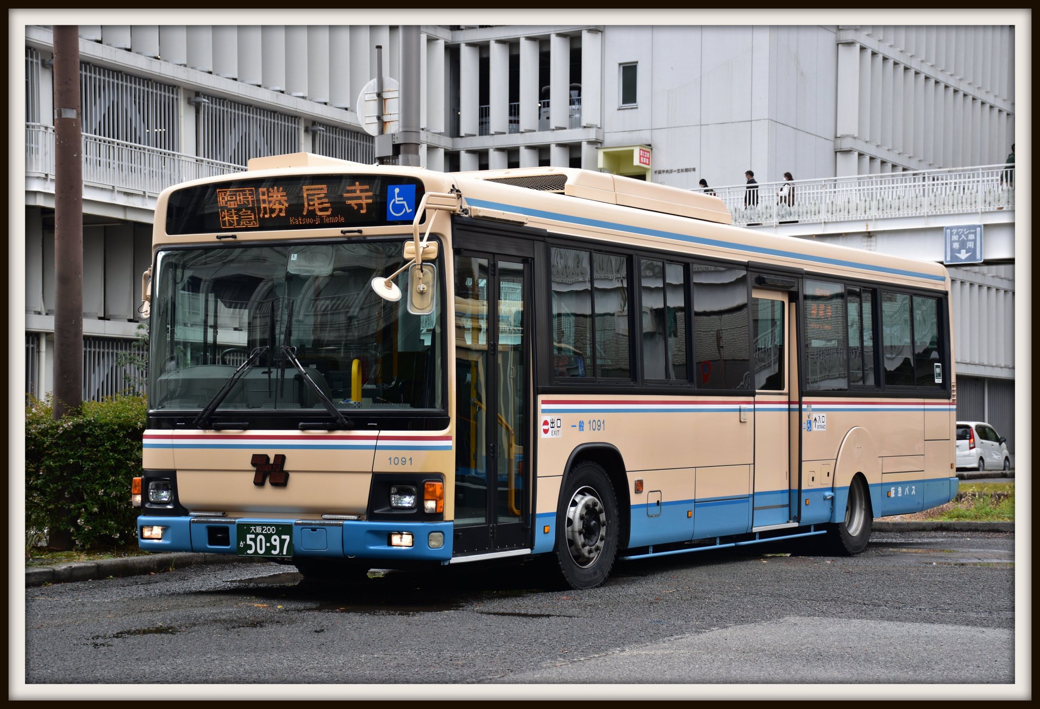 幸運到来（こううんとうらい） 幸運到来（こううんとうらい）
