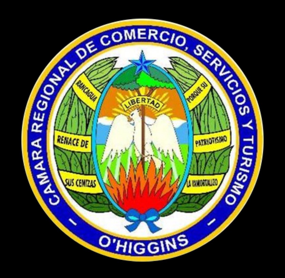 CARECOTUR's tweet photo. Como Presidente de la Cámara Regional de Comercio, Servicios y Turismo de Rancagua y O’Higgins, a nombre propio y en nombre del H. Directorio, envío un afectuoso saludo a diario @elrancaguino en su 110 aniversario. Un saludo especial a sus trabajadores. https://t.co/u2P8EBvAJz