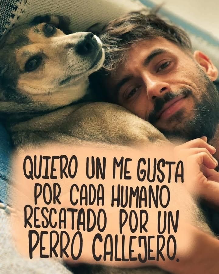 Cuando un callejero me encontró

No fui yo quien te rescató,
fuiste tú quien me devolvió el pulso de la vida.
Llegaste sin anunciarte,
con tu pelaje marcado por el hambre,
con tus ojos cargados de historias
que el viento y el asfalto habían intentado borrar.

Yo pensaba que te