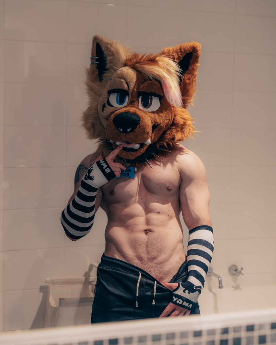 Why take tren when you can eat kibble and sniff butts 🤷‍♀️ :3