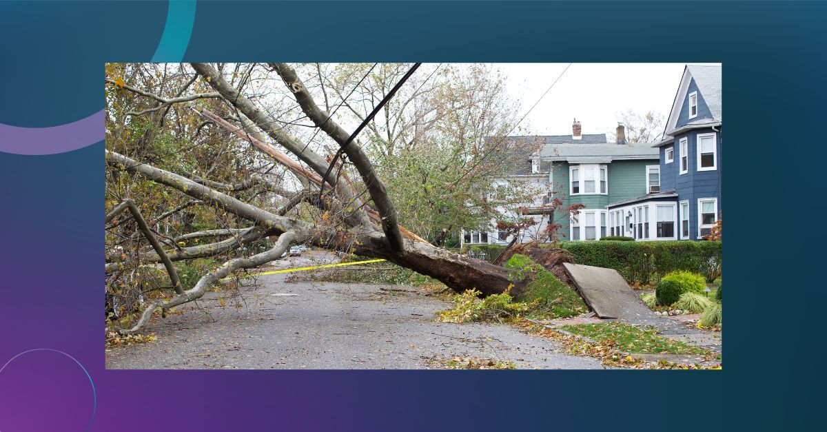 insurance_irl's tweet image. 📢Insurance Ireland Press Release

Storm Éowyn: Ireland’s Costliest Insurance Event to Date

🔗 insuranceireland.eu/news-and-publi… 

#InsuranceIreland #StormÉowyn #IrishInsurance #IrishInsuranceIndustry