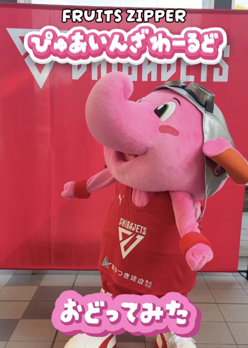 【限定品】ジャンボジャンボくん➕初期ユニジャンボくん　千葉ジェッツ 限定品】ジャンボジャンボくん➕初期ユニジャンボくん 千葉