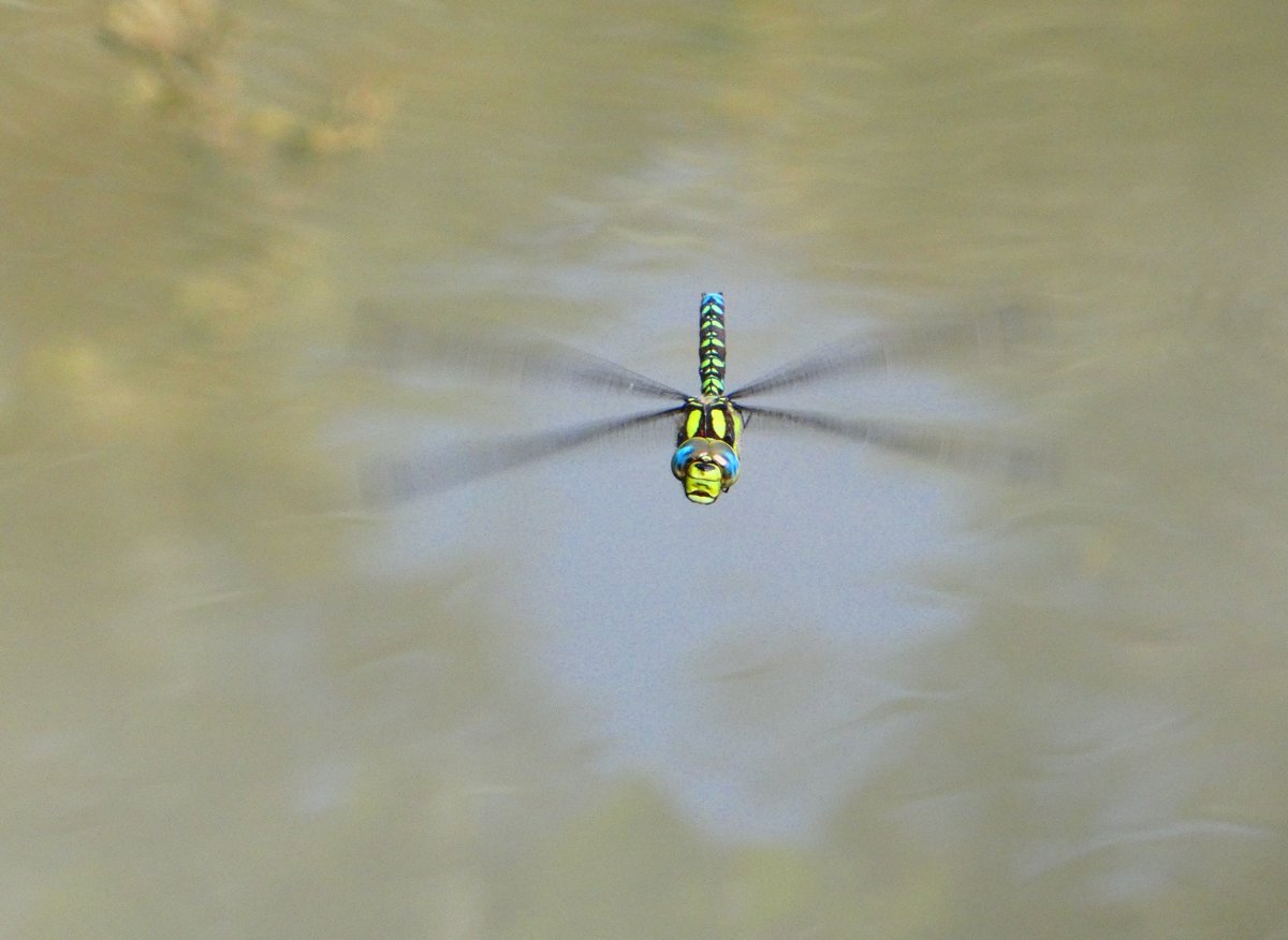 Douglas Goddard tweet media