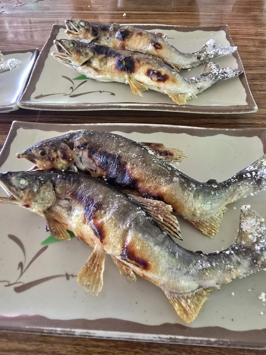 KINGKINK6's tweet photo. アユ頂きました
https://t.co/kOCttlbsoT
#あかしやな
#sweetfish https://t.co/tW97isTjWP