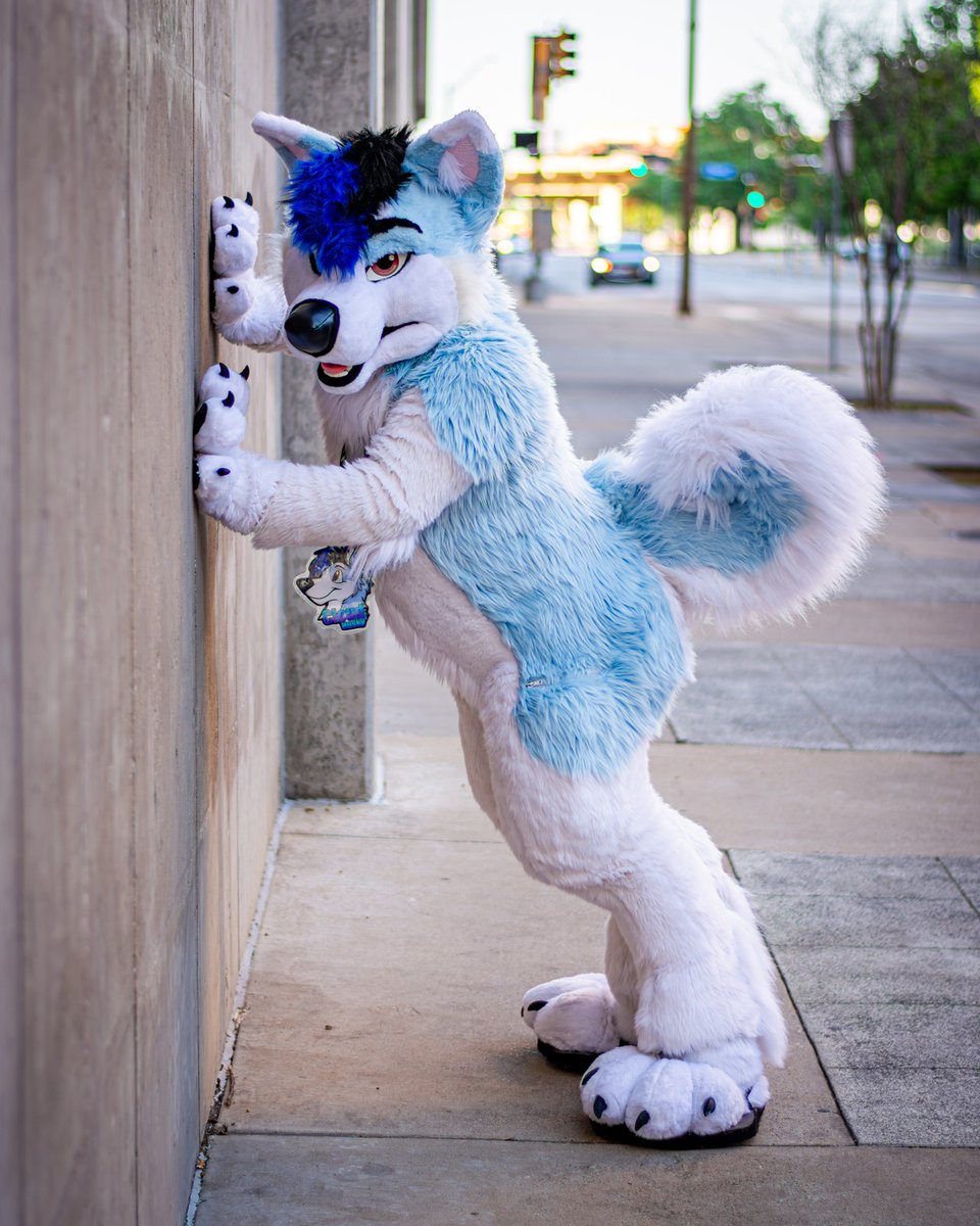 Bark

📸<a href="/yukonbarksalot/">Yukon 🐺 Arvo 🦊</a> 
#FursuitFriday