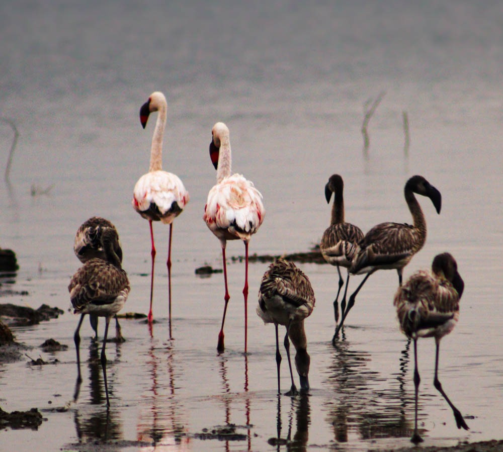 Advantage Holidays tweet media