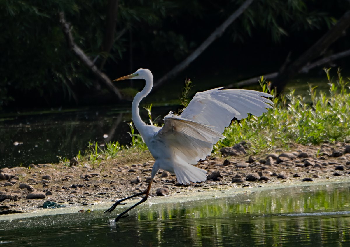 Brandon marsh reserve today