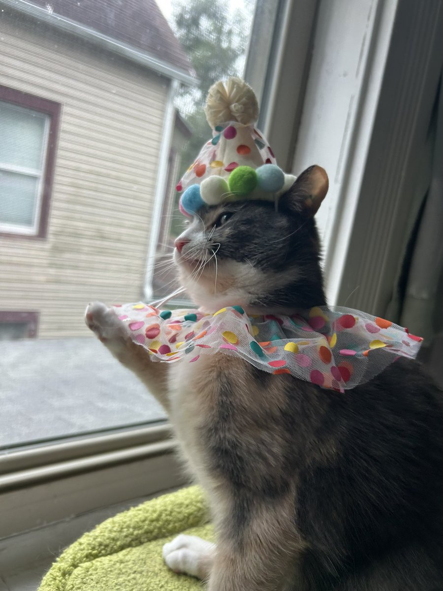 How the fuck did I make it to 23