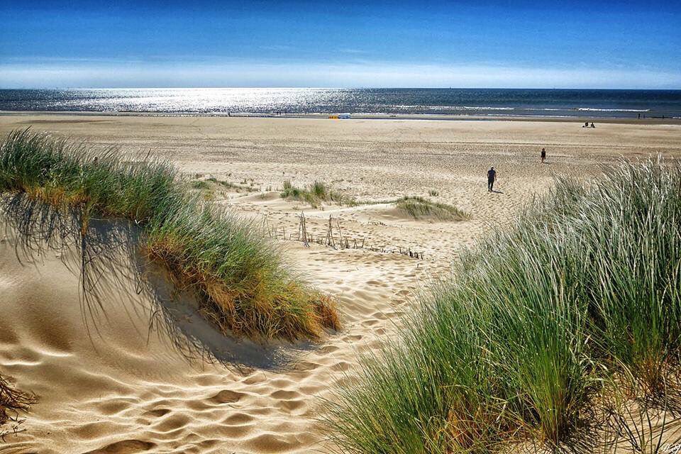 Rondje Terschelling 2025 [30] ☀️🌬️NW3🚶‍♂️