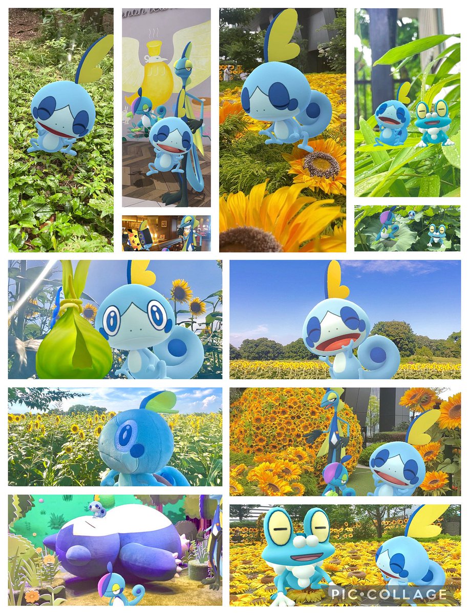 kerolimu's tweet image. 『君が好き♪』

 #メッソンの日　#図鑑NO816
#sobble #InteleonFamily 
#GOsnapshotCelebration 
あ。。。曲は、
脳内再生でお願いします。