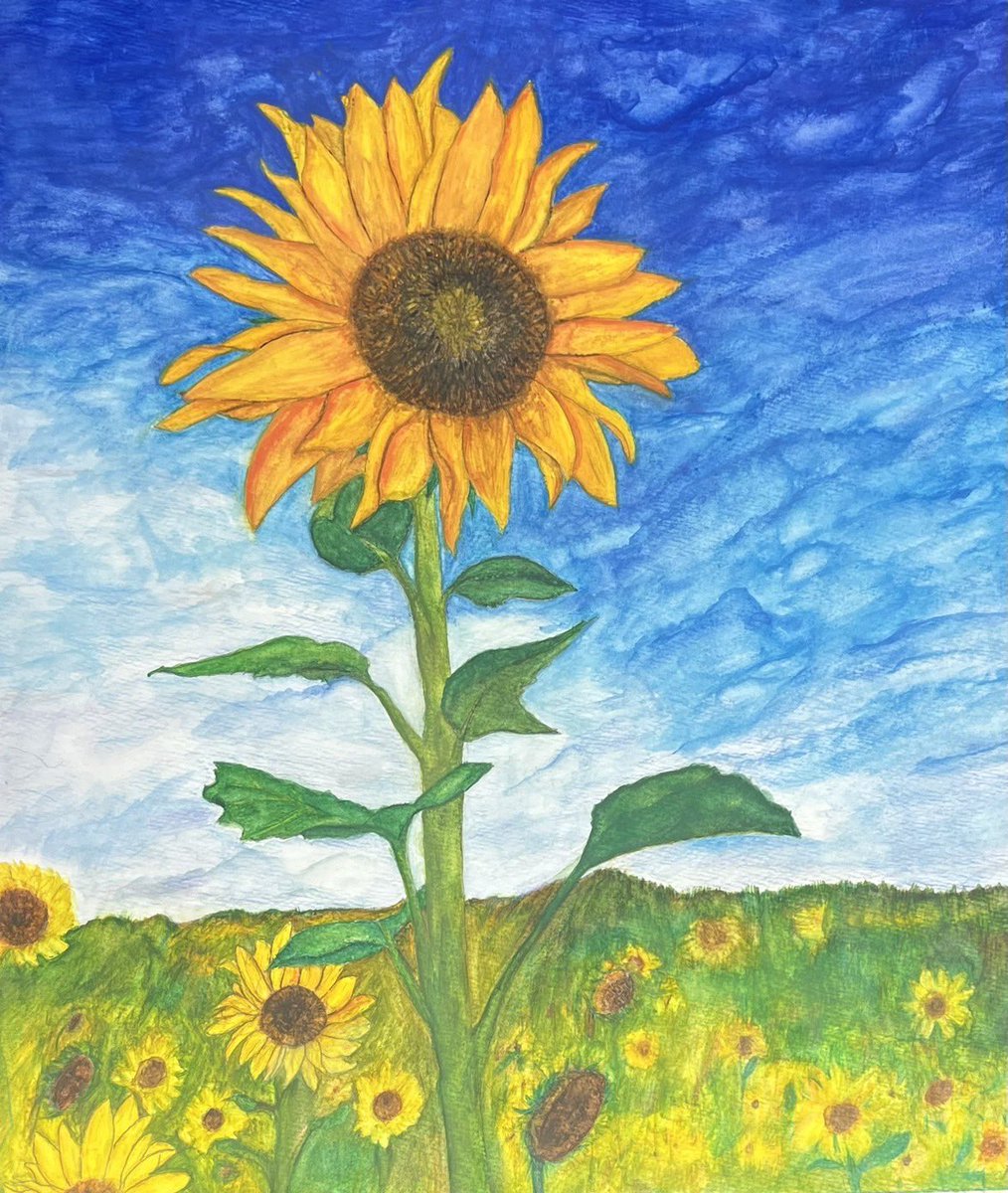 あれる⚡︎❦ tweet media