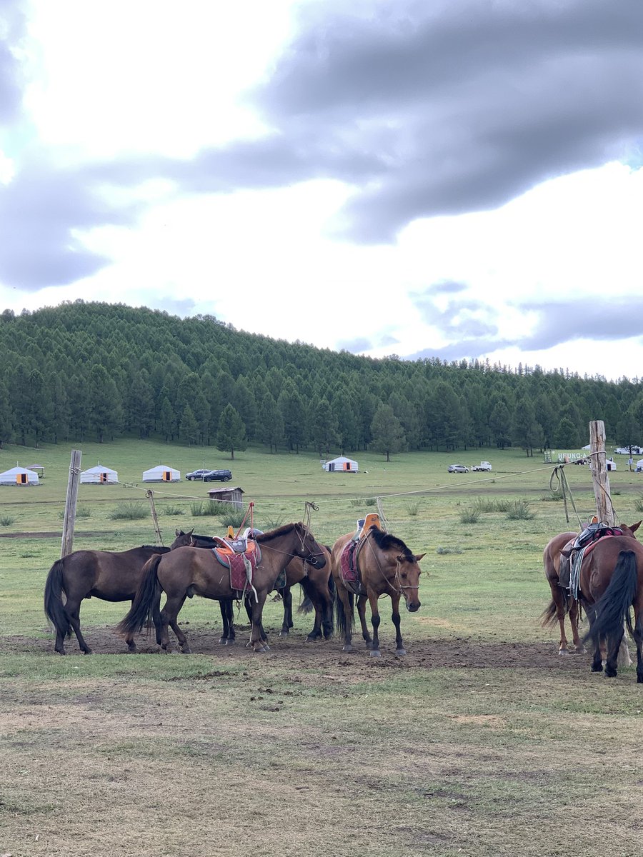 말이 너무 귀여웠음 ….