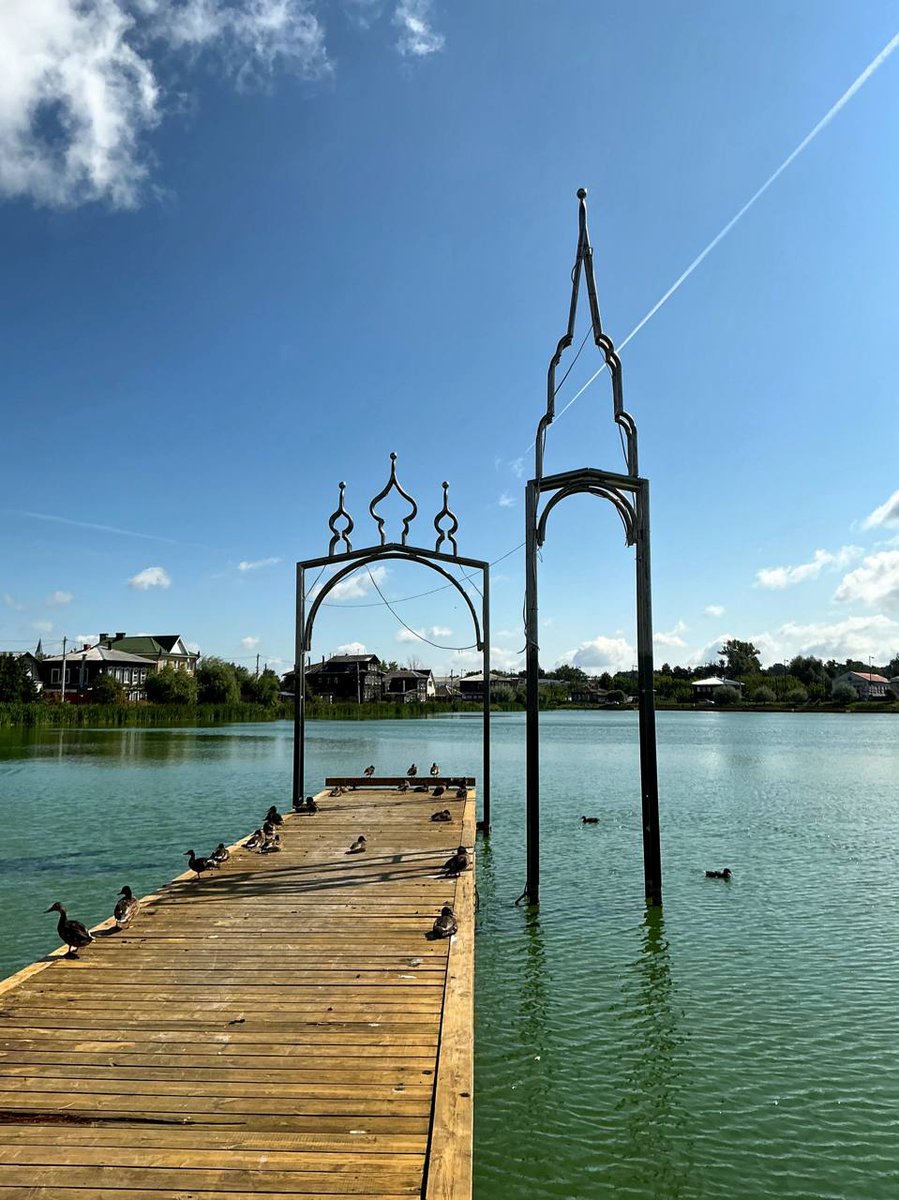 В такие пронзительные погожие деньки нужно бросать все и ехать на Кабацкое озеро в Богородск (Нижегородская область). Изумрудная вода, десятки уточек и дерево.