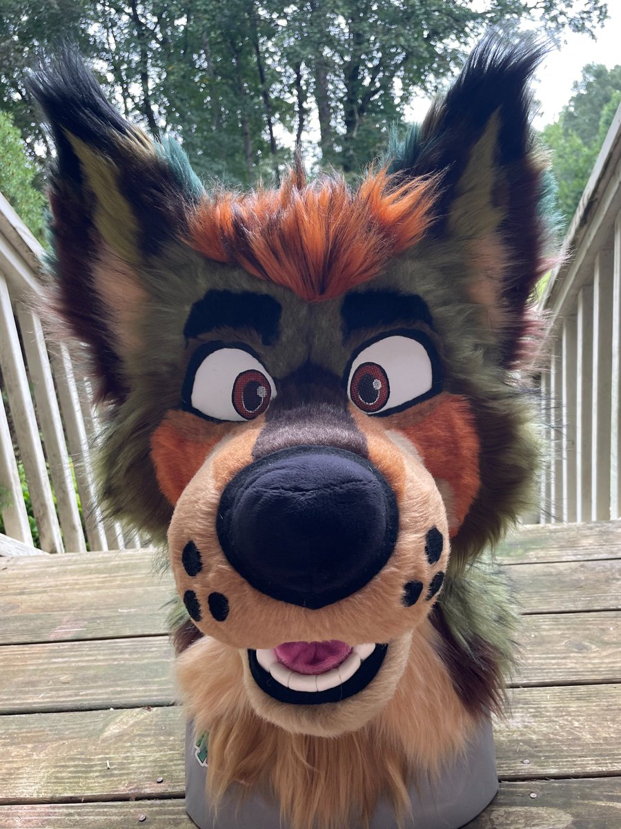 retrofursuits's tweet image. The green wolfdog is now up on the dealers den!! 
Starting at 450, will end in 5 days 👀 🗣️🗣️
thedealersden.com/listing/wolfdo…
RTs are appreciated!!!