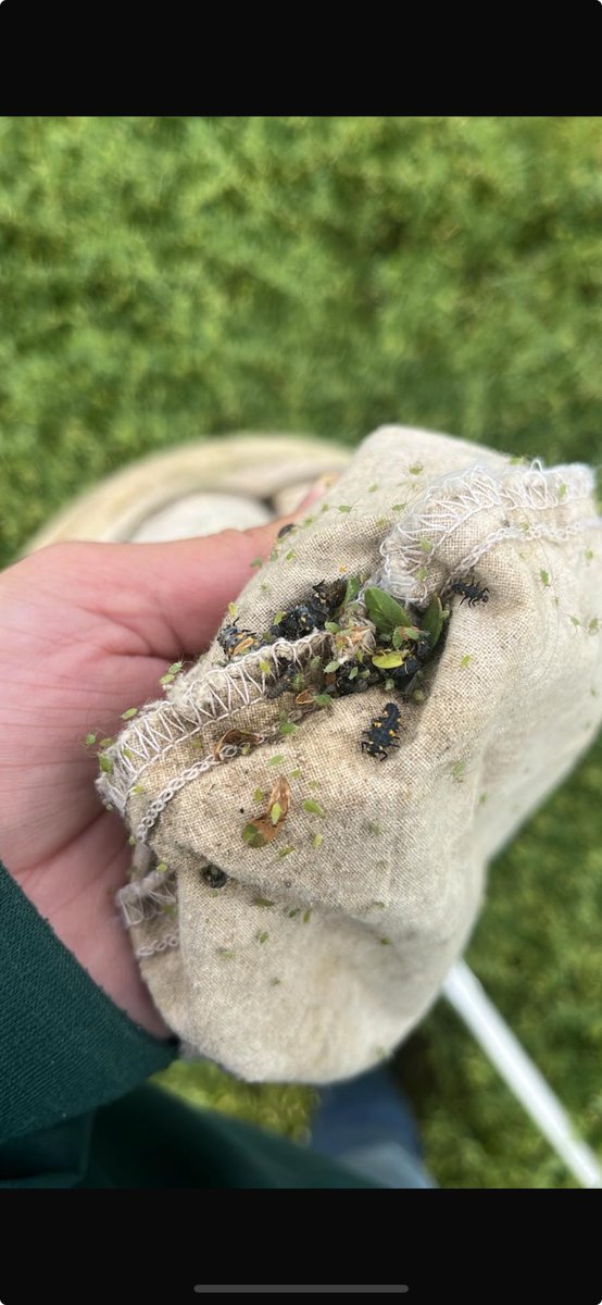 ⁦<a href="/FieldHeroes/">Field Heroes</a>⁩ ⁦<a href="/TylerWist1/">Tyler Wist</a>⁩ lots of friends in this field!